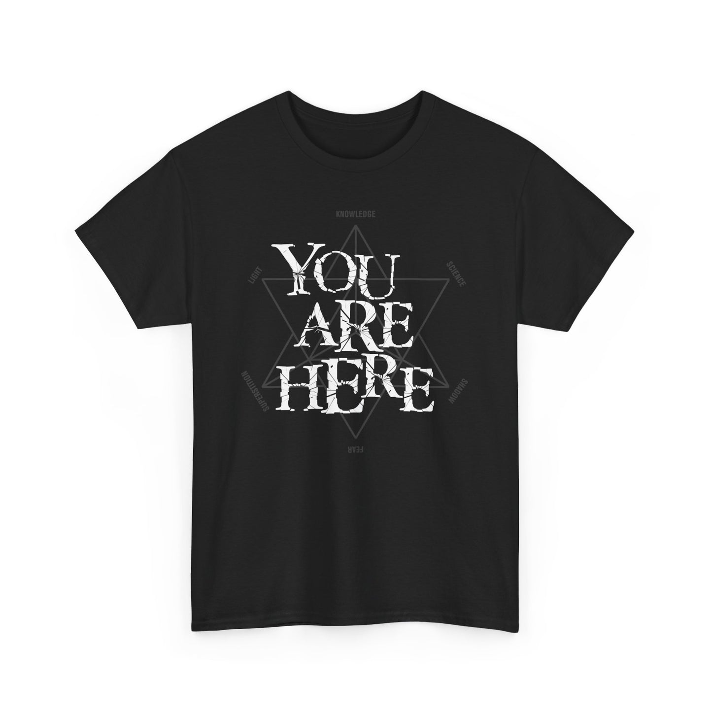 YOU ARE HERE in the TZ t-shirt