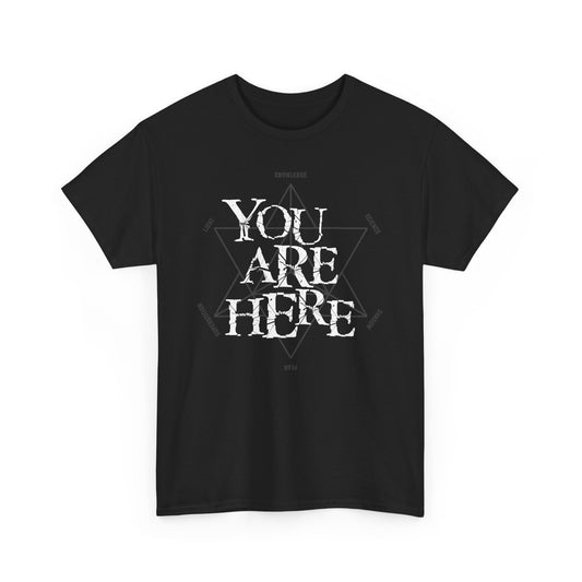 YOU ARE HERE in the TZ t-shirt