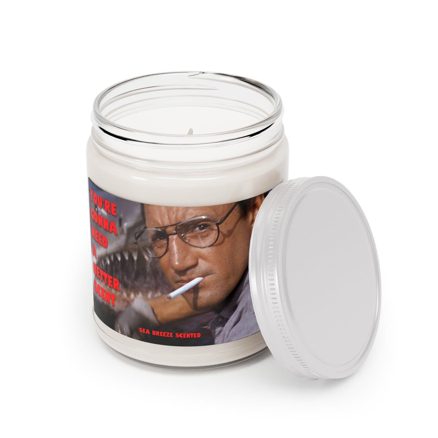 You're Gonna Need a Better Scent SEA BREEZE scented candle