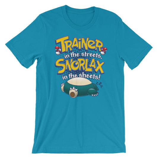 Trainer in the Streets... t-shirt