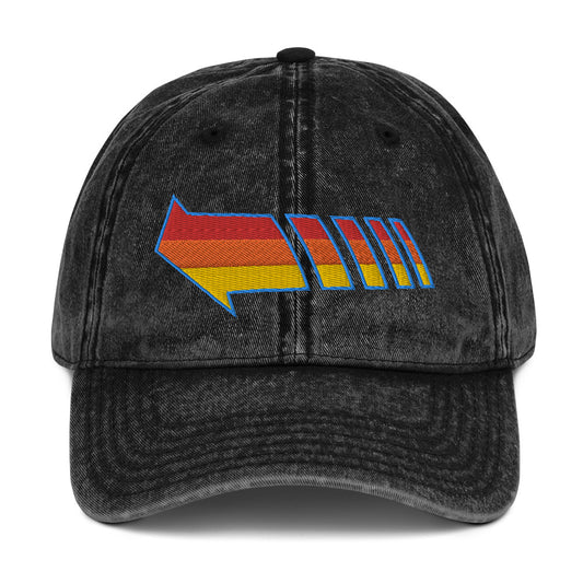 Send You Back vintage dad hat