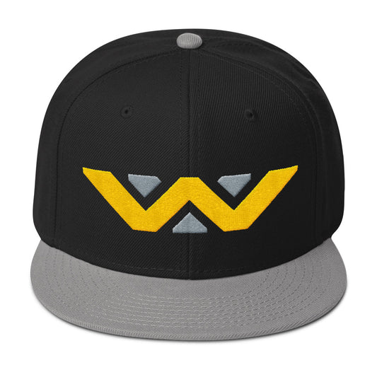 Building Better Worlds snapback hat